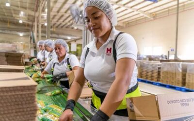 SAN LUIS POTOSÍ IMPULSA SU LIDERAZGO EXPORTADOR• La industria potosina fortalece su presencia en América del Norte bajo el T-MEC y demuestra el crecimiento sin límites con el apoyo del Gobierno Estatal.
